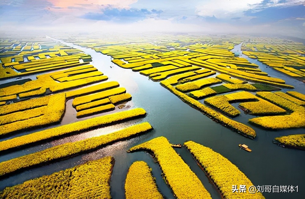 興化屬于哪個市