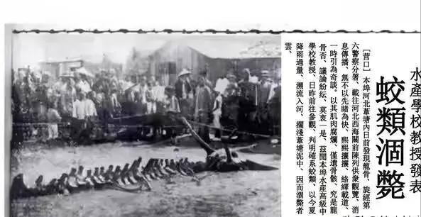 世界上真的有龍嗎（龍存在的十大證據(jù)）