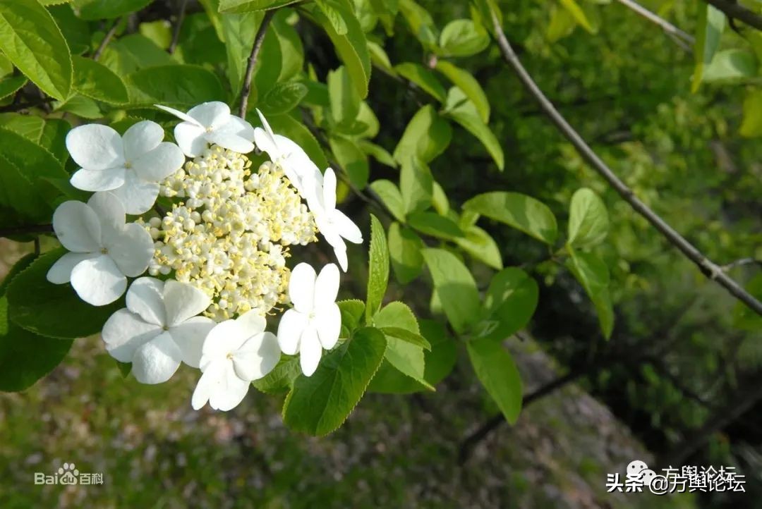 廣陵是現在的哪里（廣陵是指今天的什么地方）