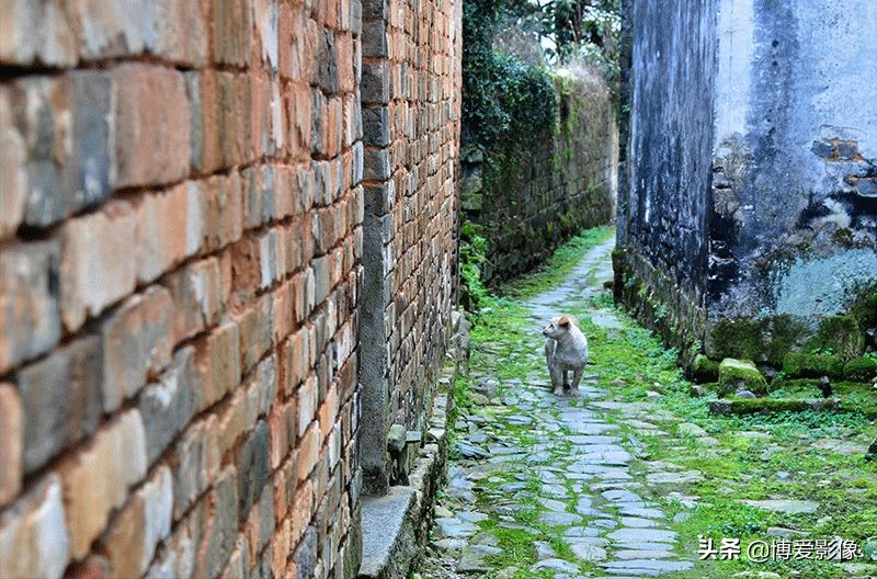 清明節為什么要掃墓 (清明節掃墓的由來和意義)
