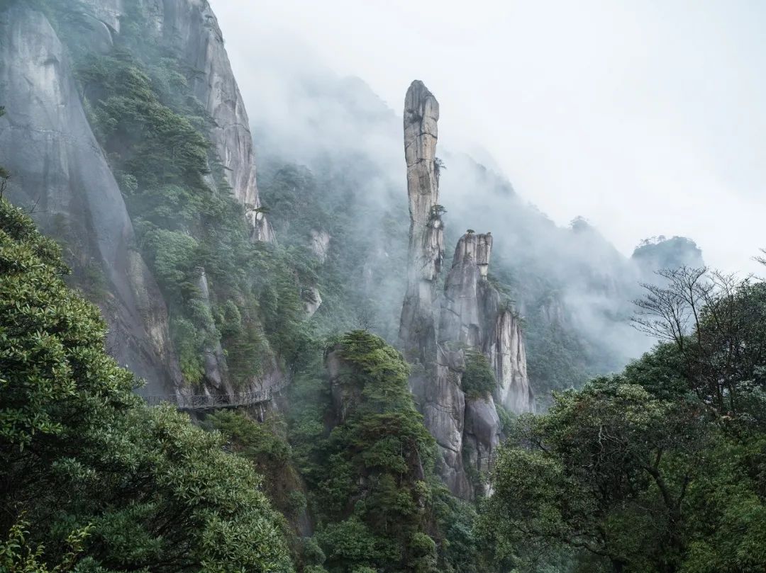 江州市屬于哪個省