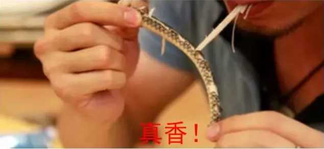 廣東人喜歡吃什么（惡心的廣東人什么都吃）