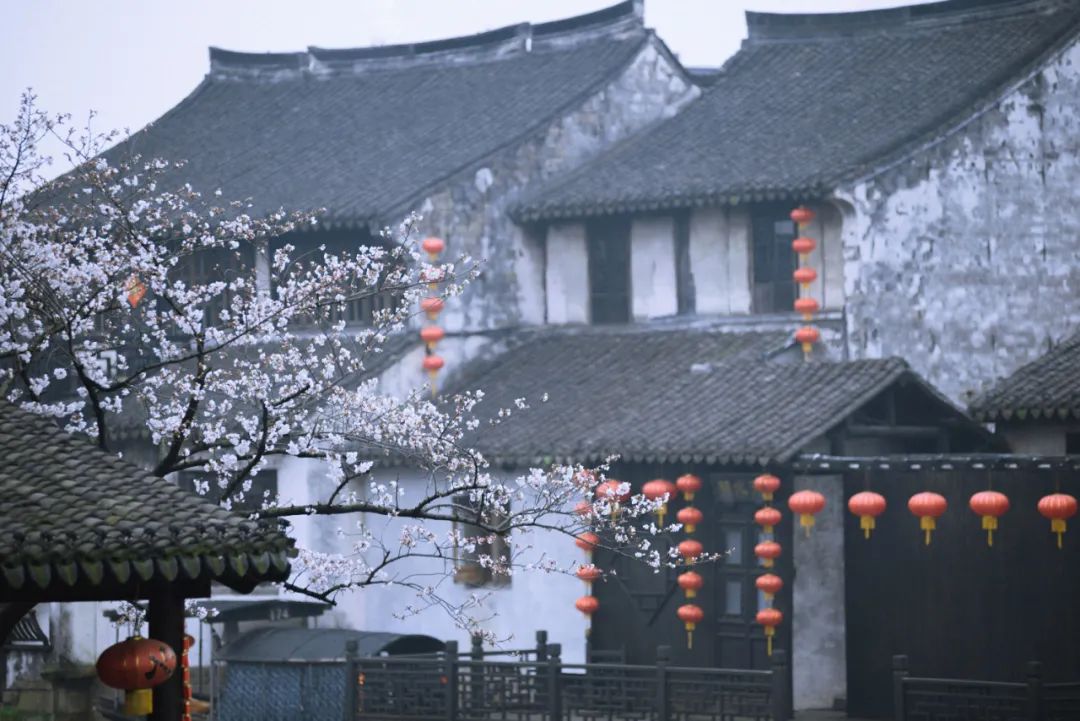 朋友圈曬花的唯美句子,落花的唯美詩(shī)詞句子