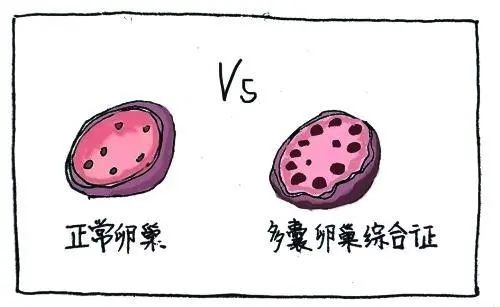 蘇州舒靜三個老公都是誰