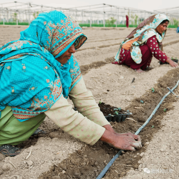 巴基斯坦什么時候建國(巴基斯坦有多少年歷史了)