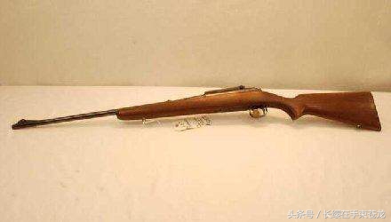 世界上最帥的一把槍（世界上最恐怖的一支槍）