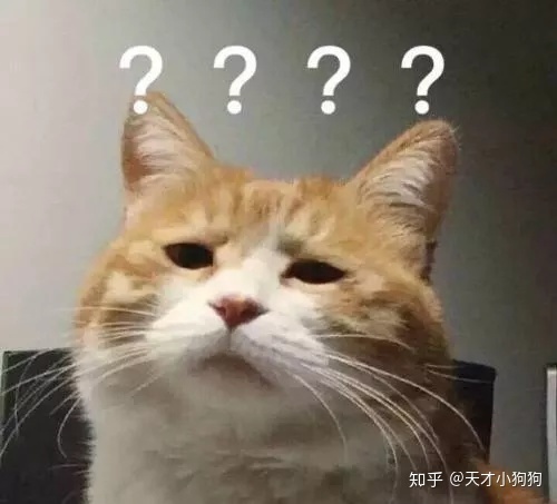 廣東人喜歡吃什么（惡心的廣東人什么都吃）