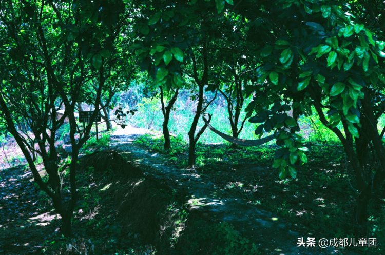 房車(chē)營(yíng)地費(fèi)用一覽表（全國(guó)房車(chē)營(yíng)地價(jià)格一覽表）