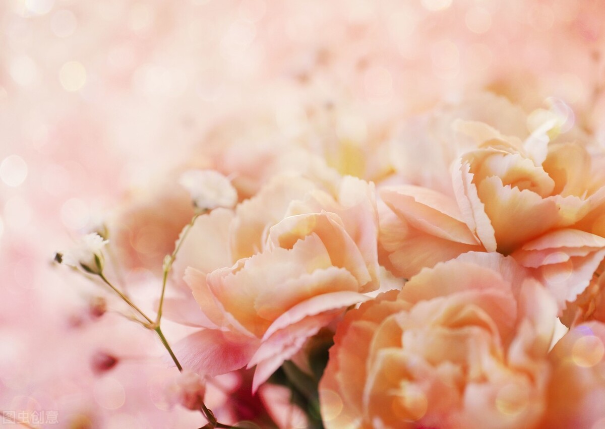 只言溫暖不語悲傷什么意思 女生說只言溫暖不語悲傷什么意思