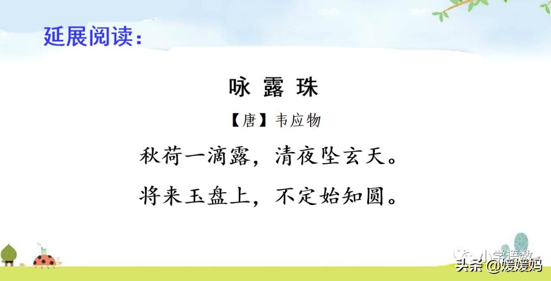 先寫現象再提出問題的句子