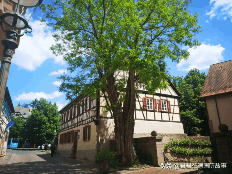 中國人為什么全世界都瞧不起（為什么學歷越高越不愛國）