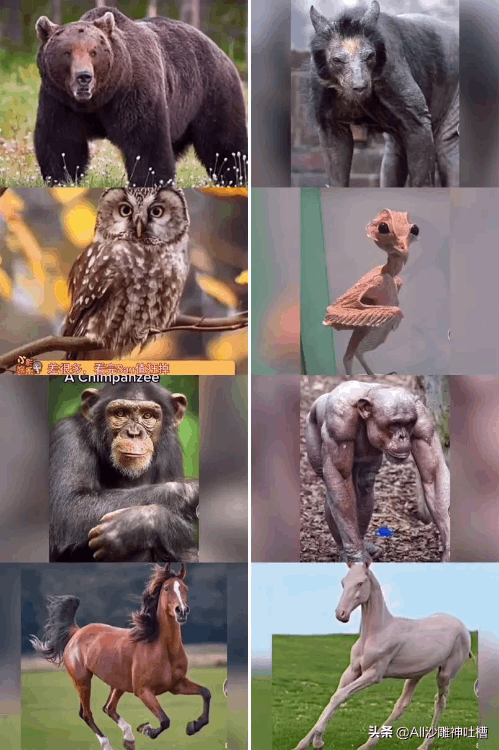 充電什么意思 男生說充電是什么梗