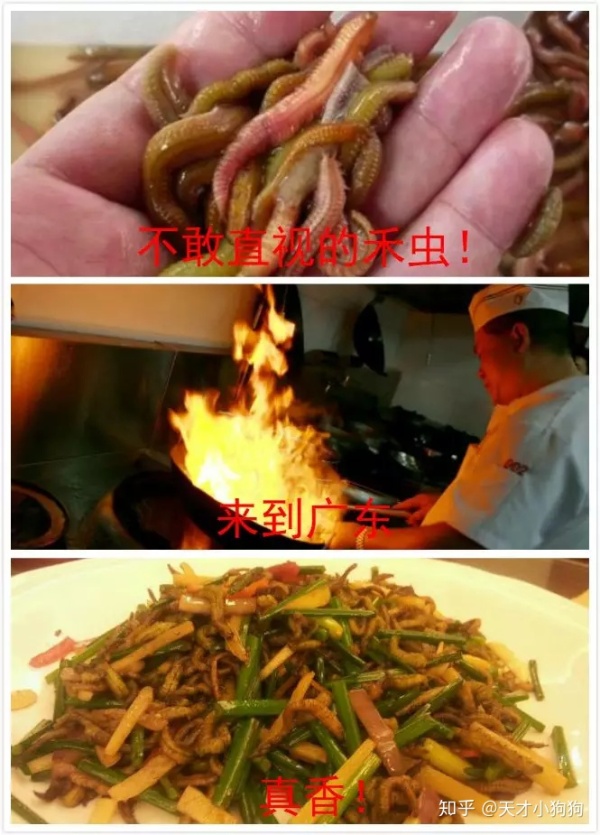 廣東人喜歡吃什么（惡心的廣東人什么都吃）