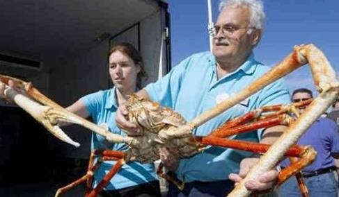 世界上最大的動(dòng)物(世界上最大的動(dòng)物是哪一種)