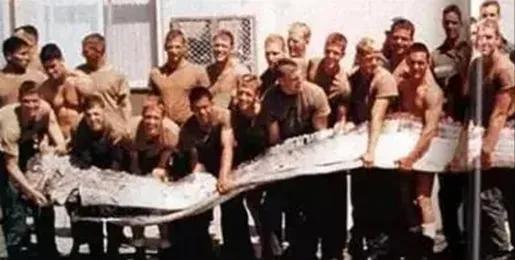 世界上真的有龍嗎（龍存在的十大證據(jù)）