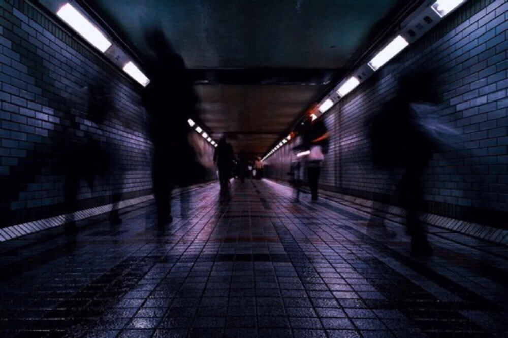 什么是馬爾薩斯陷阱(中國是如何擺脫的)