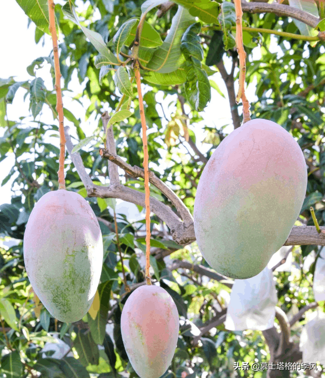 中國不潮濕的宜居城市（中國城市干燥度排行）