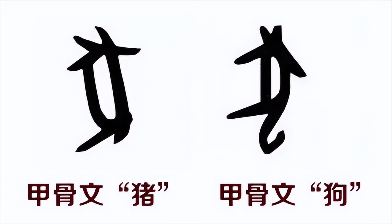 六根清凈指什么生肖(豬)