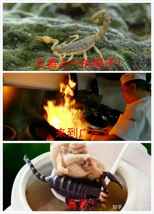 廣東人喜歡吃什么（惡心的廣東人什么都吃）