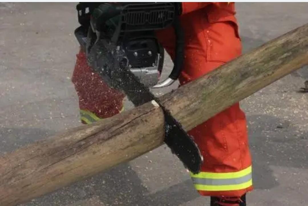 世界最硬的木頭十大排名(木材密度及硬度排名)