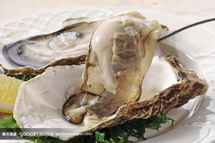 烤生蠔的利潤有多少(一元一只生蠔有利潤嗎)