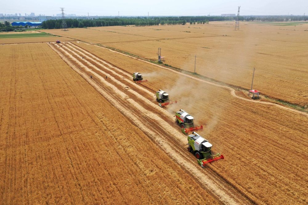 世界十大糧倉(cāng)地區(qū)(世界十大糧食出口國(guó)排名)