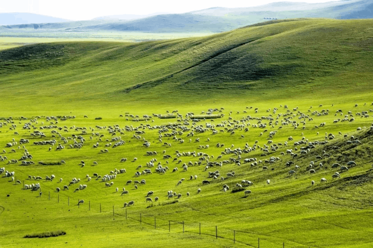 國內旅游攻略（旅游去哪里好玩又便宜國內游）