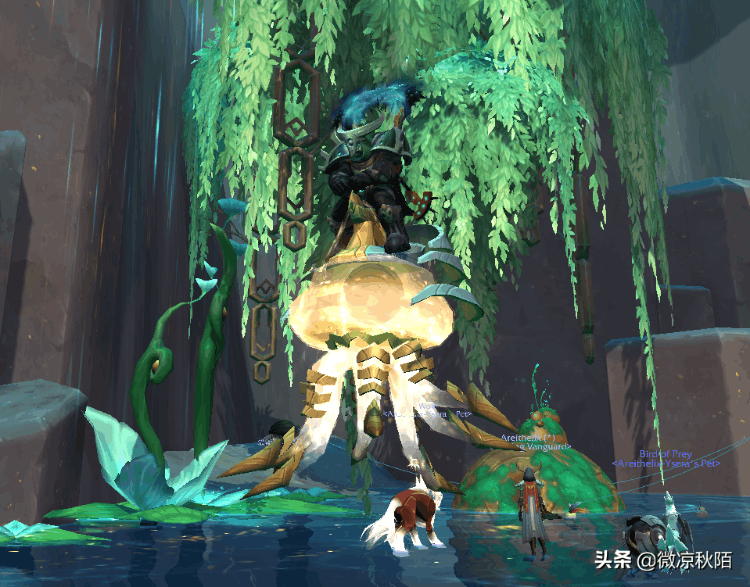 魔獸世界容易獲得的坐騎（魔獸世界十大必拿坐騎）