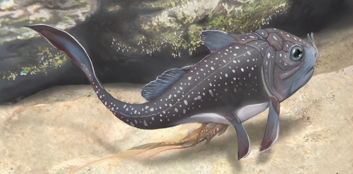 覺得人類繁殖很惡心（為什么覺得人類繁衍很惡心）