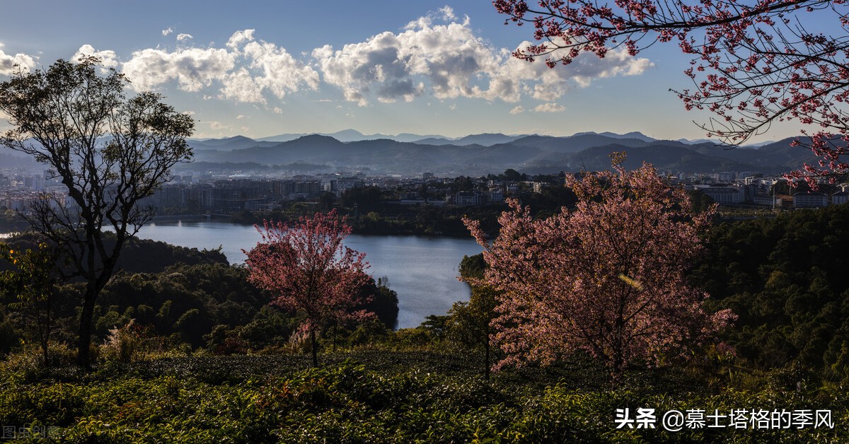 中國氣候最佳的八個城市（中國哪里宜居不熱不冷不潮濕）