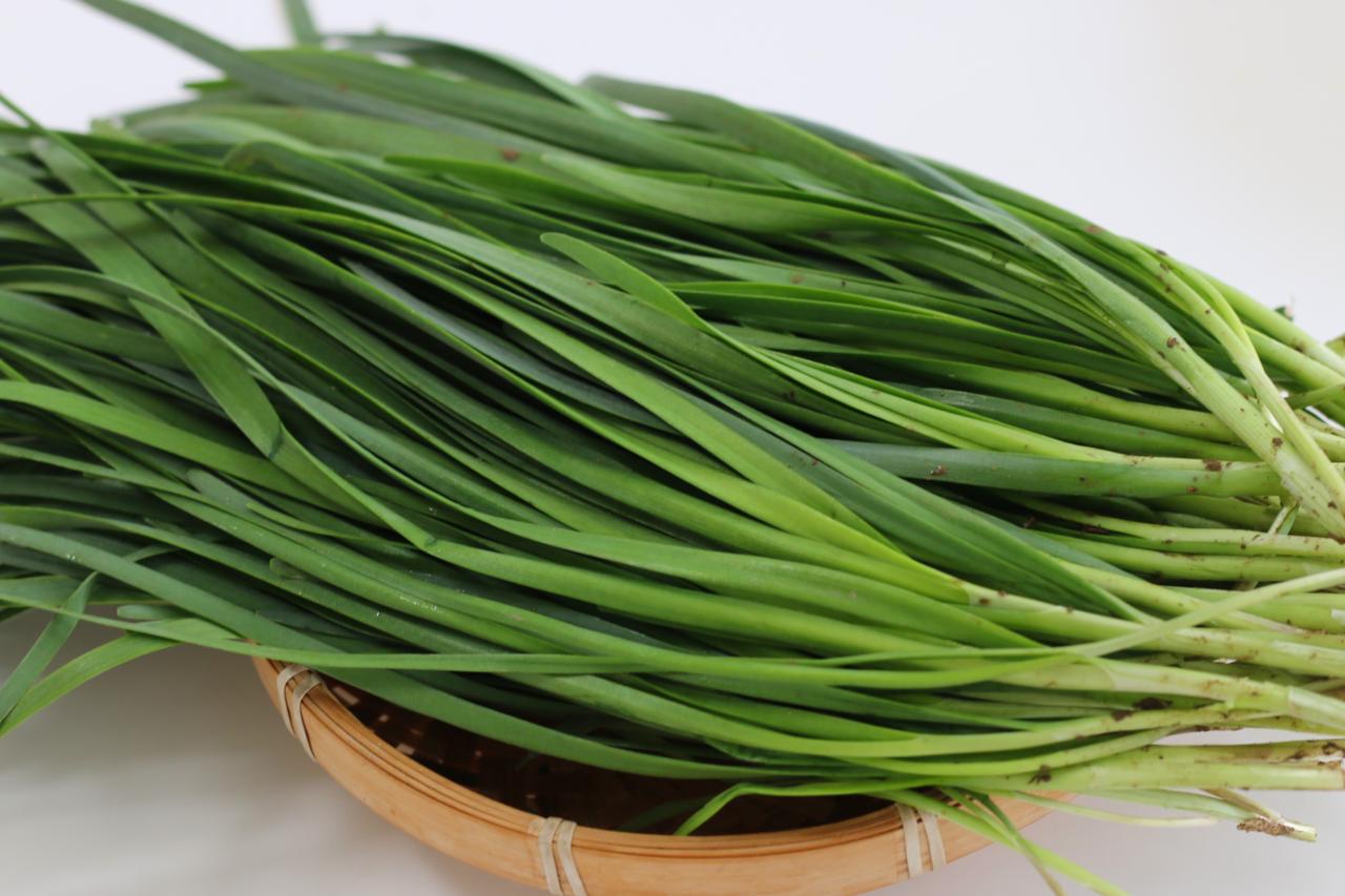 韭菜雞蛋餡包子需要蒸幾分鐘(蒸包子的做法和技巧)