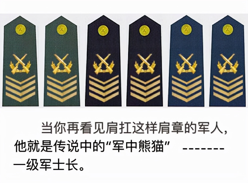 團長敢惹一級軍士長嗎(一級軍士長有多大權力歸誰管)