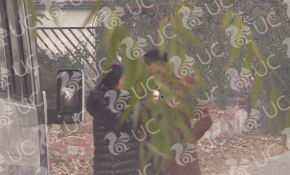 張惠妹為什么爆肥(張惠妹肥胖的原因)