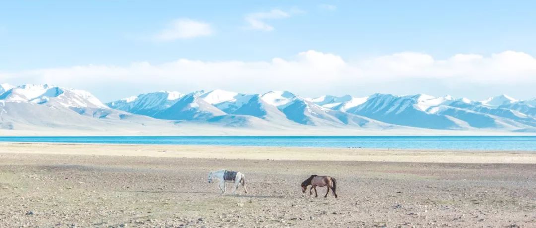 國內旅游攻略（旅游去哪里好玩又便宜國內游）