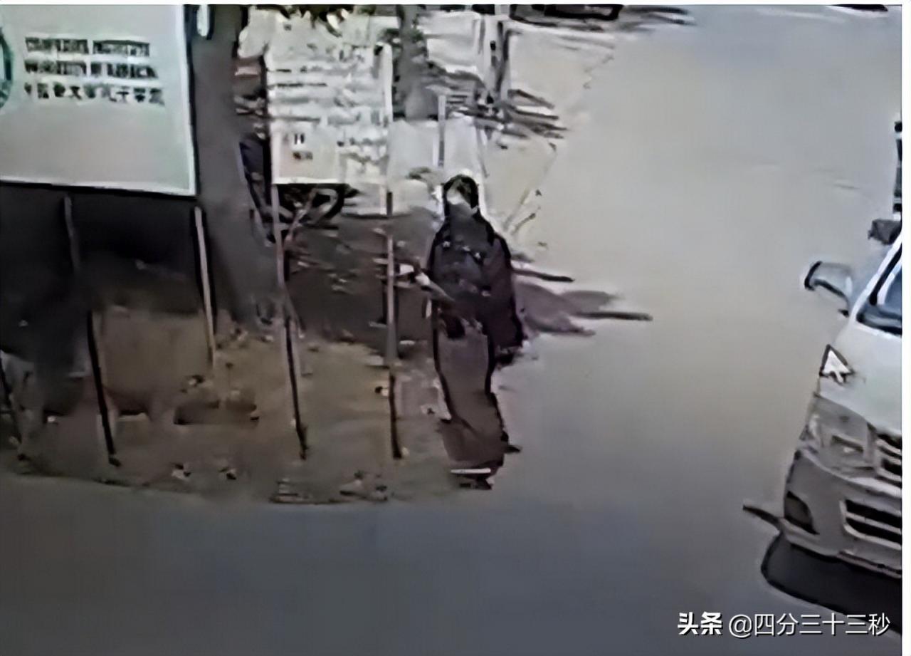 在巴鐵打中國人后果(中巴友誼真的這么鐵嗎)