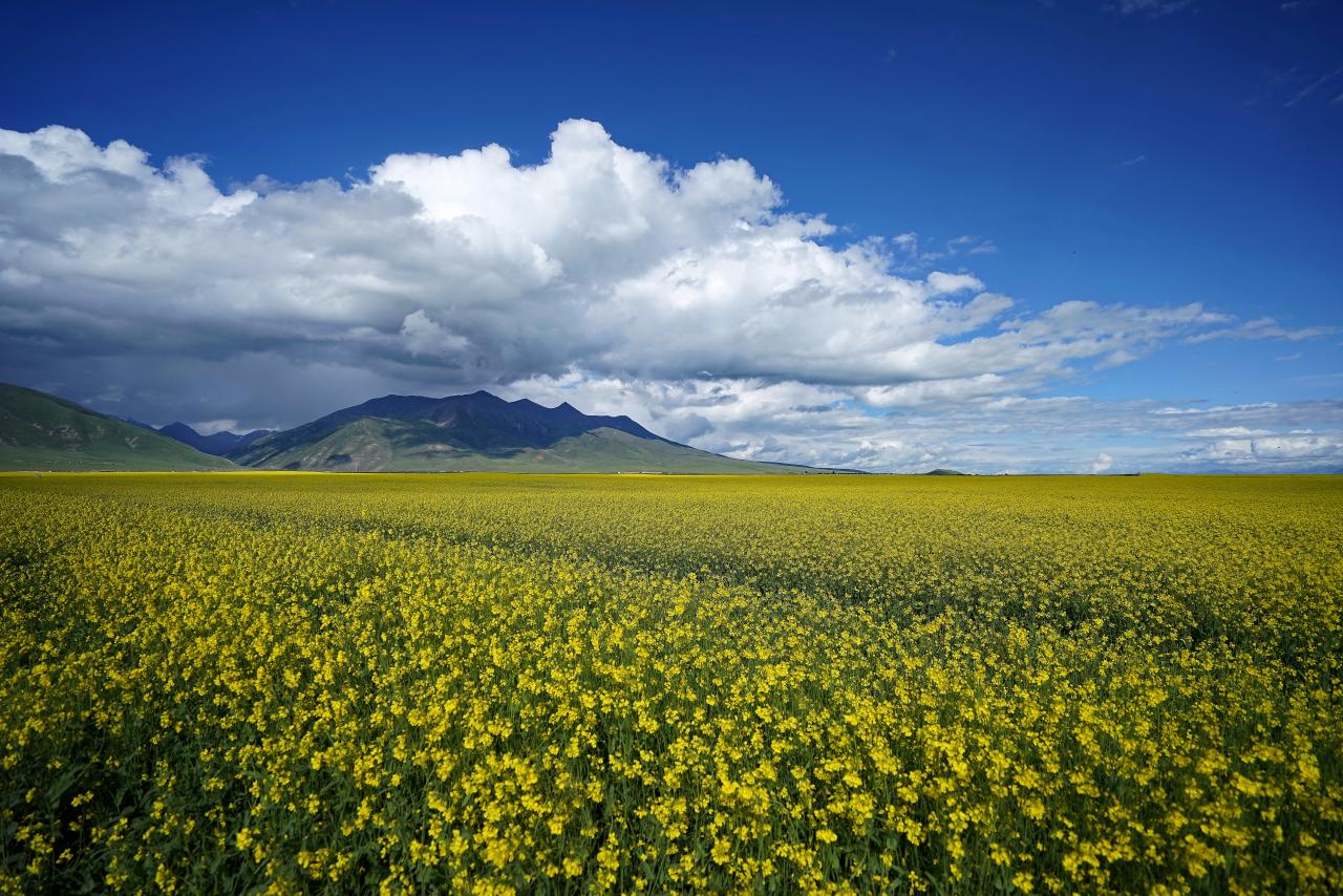 房車為什么到哪都惹人煩(房車出游真實感受)