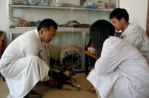 未來20年什么行業最有前景（未來幾年什么行業前景好）