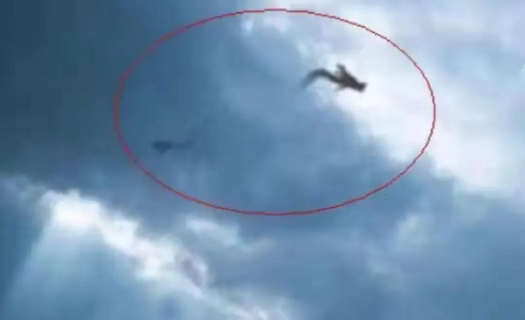 世界上真的有龍嗎（龍存在的十大證據(jù)）