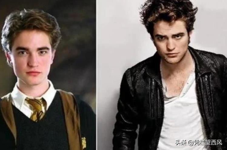 哈利波特長大后的照片（哈利波特1到7顏值變化）