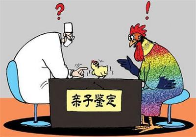 近親為什么不能結婚 (禁止結婚的親屬關系圖)