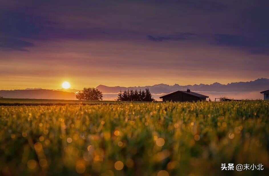 為什么你背著我愛別人 (為什么你背著我愛別人什么意思)
