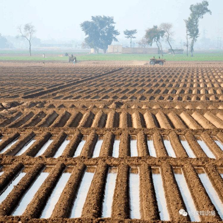 巴基斯坦什么時候建國(巴基斯坦有多少年歷史了)