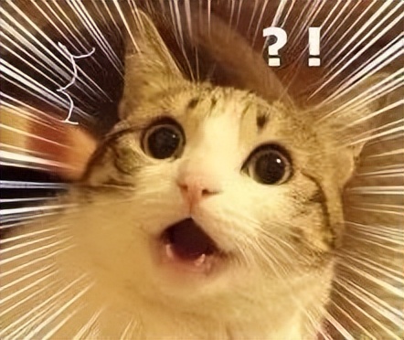 親戚關系稱呼大全（各種親戚關系稱呼）