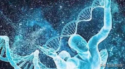 為什么人必須死（人死后還會有下輩子嗎）