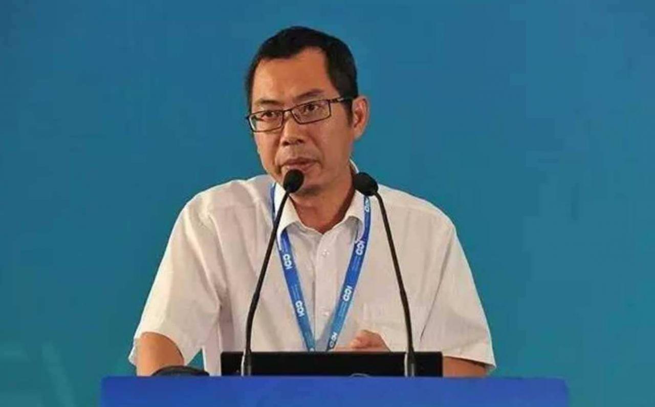 王傳福表兄是哪里人(呂向陽與王傳福是什么老表)