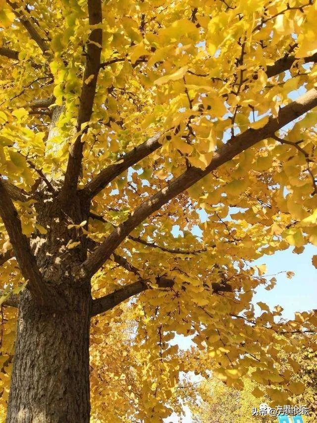 廣陵是現在的哪里（廣陵是指今天的什么地方）