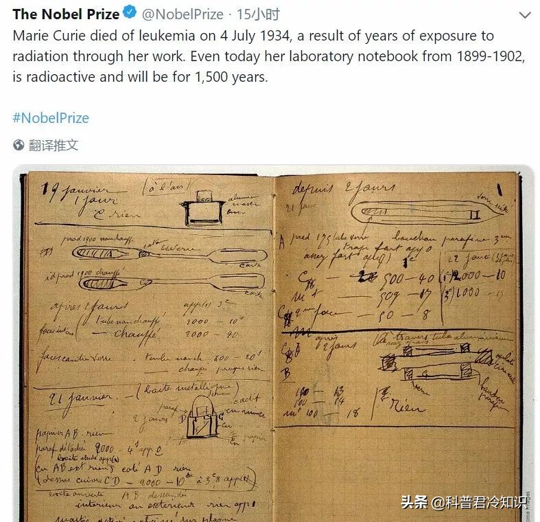 中日算混血兒?jiǎn)幔ǘ际莵喼奕四芙谢煅獑幔? width=