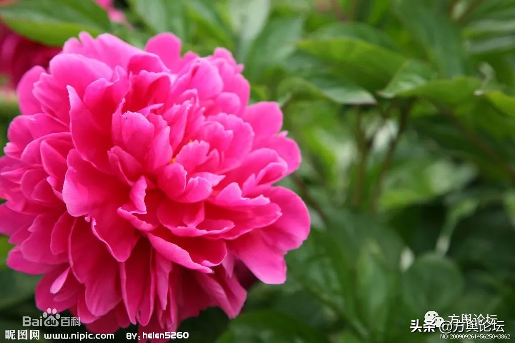 廣陵是現在的哪里（廣陵是指今天的什么地方）