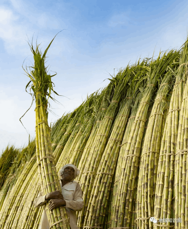 巴基斯坦什么時候建國(巴基斯坦有多少年歷史了)