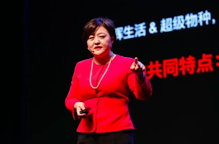 徐雷爺爺是誰（京東徐雷是什么人）